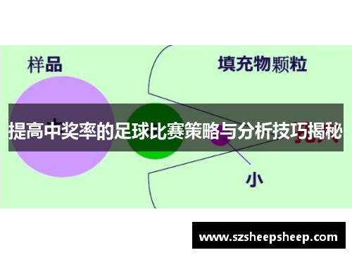 提高中奖率的足球比赛策略与分析技巧揭秘